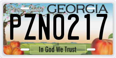 GA license plate PZN0217