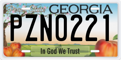 GA license plate PZN0221