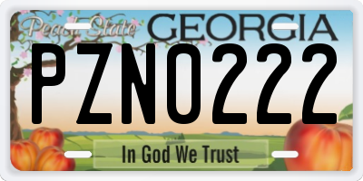GA license plate PZN0222