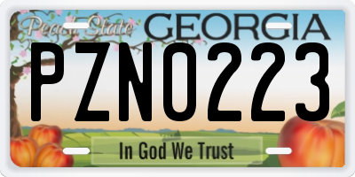 GA license plate PZN0223