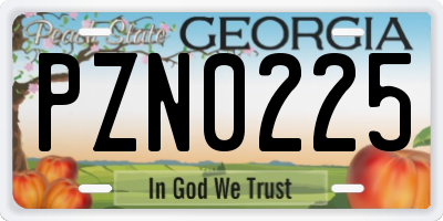 GA license plate PZN0225