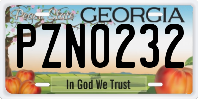 GA license plate PZN0232