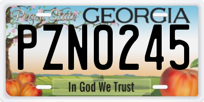 GA license plate PZN0245
