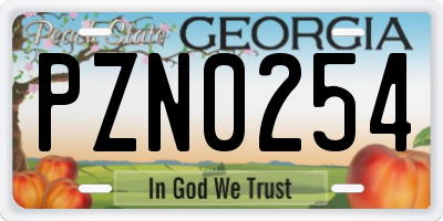 GA license plate PZN0254
