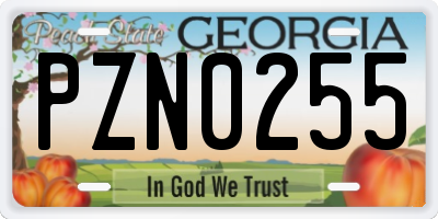 GA license plate PZN0255