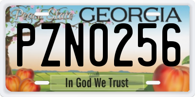 GA license plate PZN0256