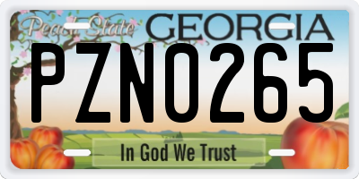 GA license plate PZN0265