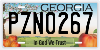GA license plate PZN0267