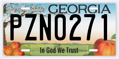 GA license plate PZN0271