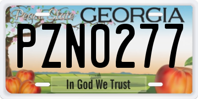 GA license plate PZN0277