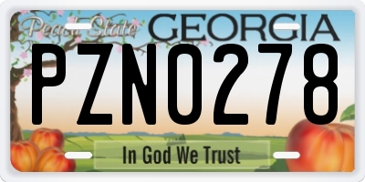 GA license plate PZN0278