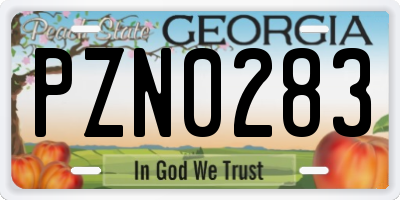 GA license plate PZN0283