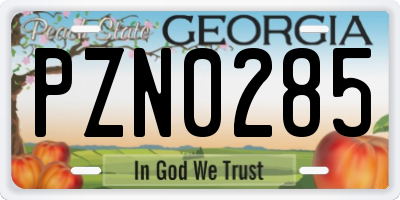GA license plate PZN0285