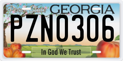 GA license plate PZN0306