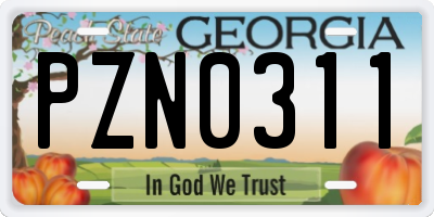 GA license plate PZN0311