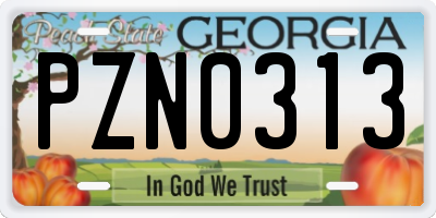 GA license plate PZN0313