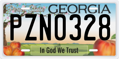 GA license plate PZN0328