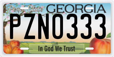 GA license plate PZN0333