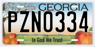 GA license plate PZN0334