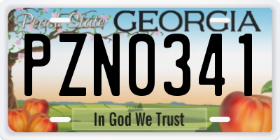 GA license plate PZN0341