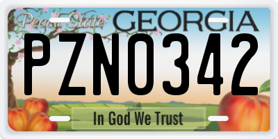 GA license plate PZN0342