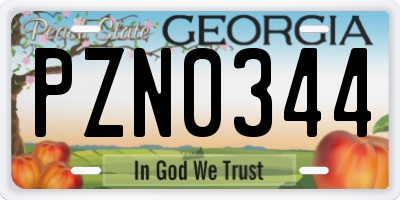 GA license plate PZN0344
