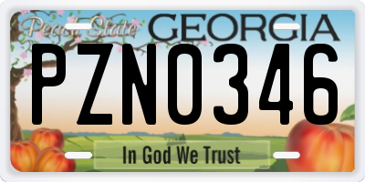 GA license plate PZN0346