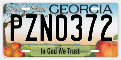 GA license plate PZN0372