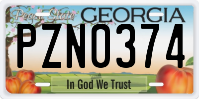 GA license plate PZN0374