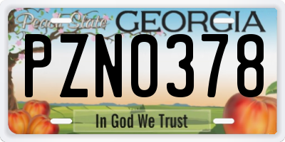 GA license plate PZN0378