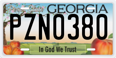 GA license plate PZN0380