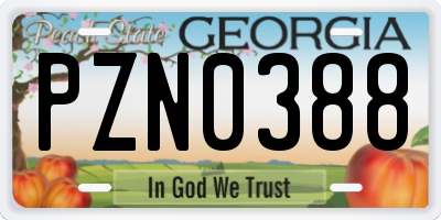 GA license plate PZN0388