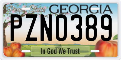 GA license plate PZN0389