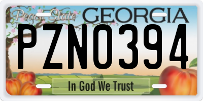 GA license plate PZN0394