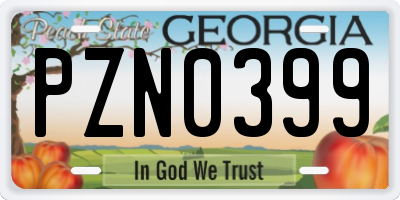 GA license plate PZN0399