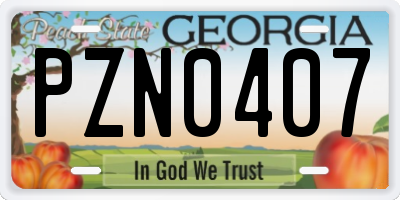 GA license plate PZN0407