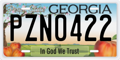 GA license plate PZN0422