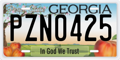 GA license plate PZN0425