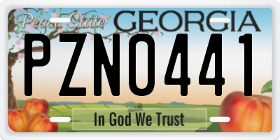 GA license plate PZN0441