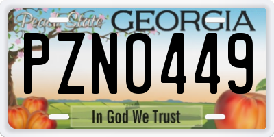 GA license plate PZN0449
