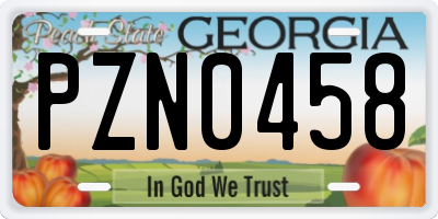GA license plate PZN0458