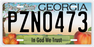 GA license plate PZN0473