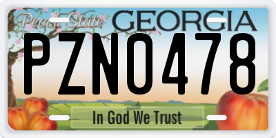 GA license plate PZN0478