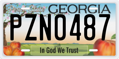 GA license plate PZN0487