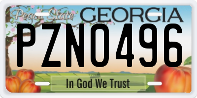 GA license plate PZN0496