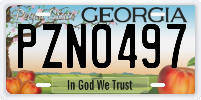 GA license plate PZN0497