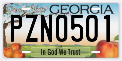 GA license plate PZN0501