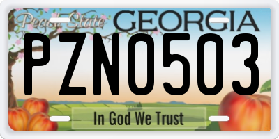 GA license plate PZN0503