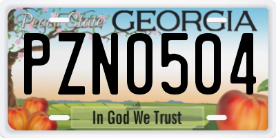 GA license plate PZN0504