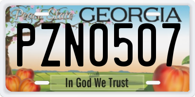 GA license plate PZN0507